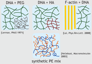 Macromol2015_TOCGraphic